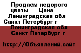 Продаём недорого цветы:  › Цена ­ 50 - Ленинградская обл., Санкт-Петербург г.  »    . Ленинградская обл.,Санкт-Петербург г.